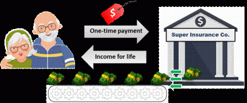 Figure 6: Example income annuity illustration