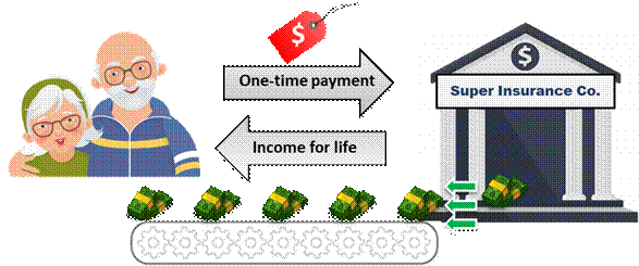 Figure 6: Example income annuity illustration